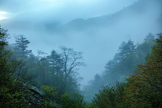 神农架,神农顶,风景,景点,旅游,高山,瀑布,河流,神秘,树木,植被,石头,鄂西,云海,峡谷,壮观