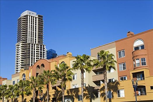 仰视,棕榈树,正面,建筑,水岸,公寓,圣地亚哥,加利福尼亚,美国