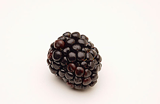 一个,黑莓,白色背景