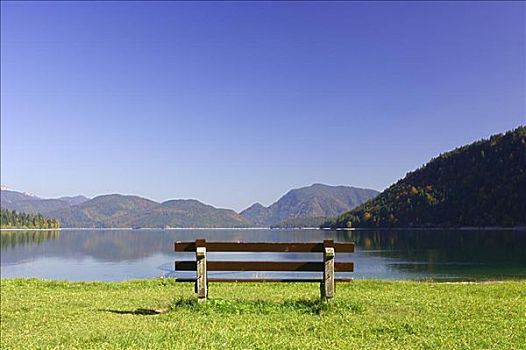 长椅,海岸,湖,巴伐利亚,德国