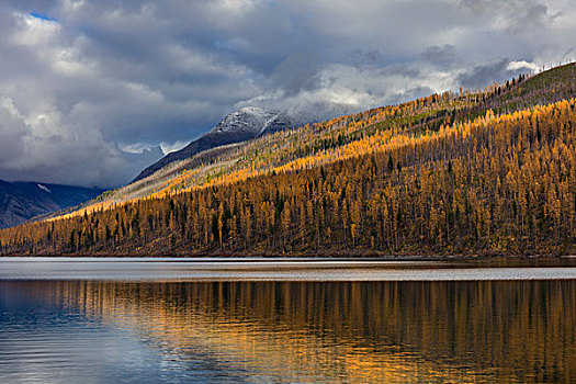 湖,秋天,冰川国家公园,蒙大拿,美国,大幅,尺寸