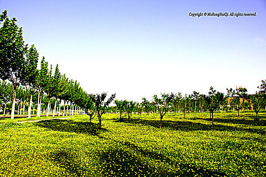 南开大学风景