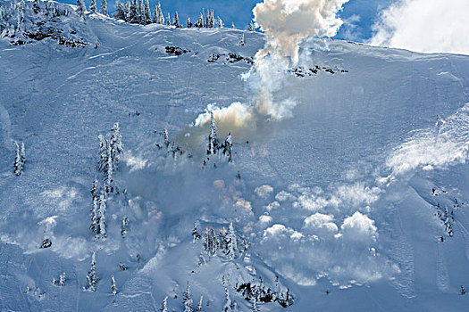 爆炸品,控制,雪崩,滑雪胜地