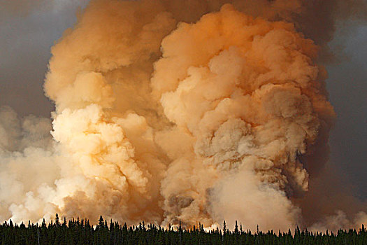 烟,森林火灾,艾伯塔省,加拿大