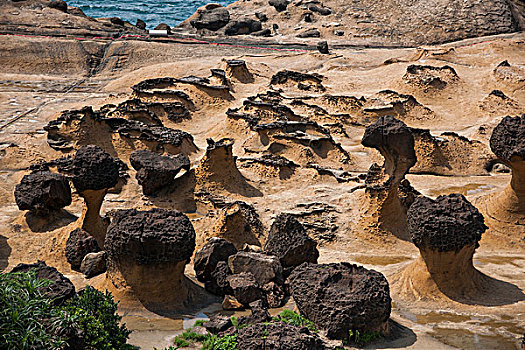 台湾新北市万里区,野柳地质公园,的蕈状岩,姜石奇特景观岩礁区