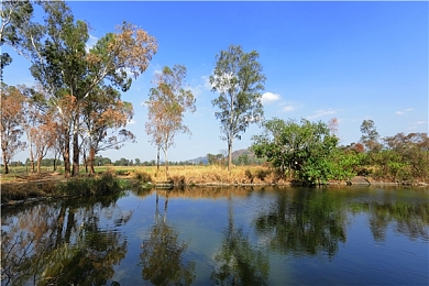 生态湿地图片