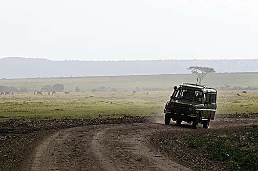 越野车辆,旅行队,马赛马拉国家保护区,肯尼亚