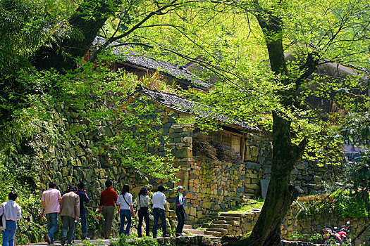 余姚,山村,夏天,山路,山泉