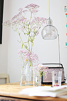 花,无线电,玻璃杯,桌上