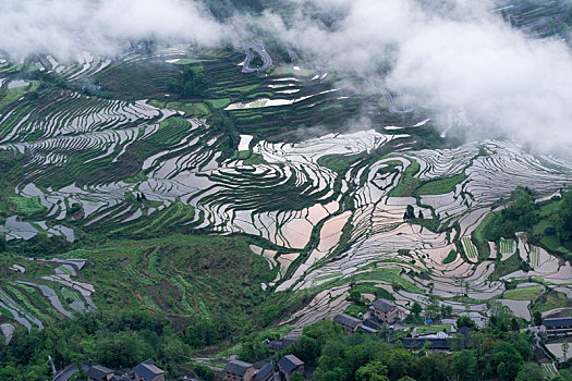 重庆市酉阳花田灌水梯田云雾缭绕风景如画