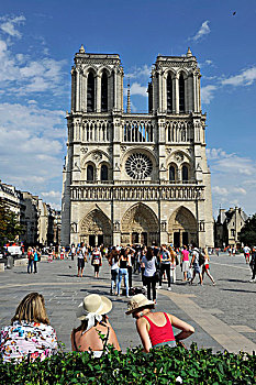 法国,巴黎,巴黎圣母院,大教堂,游人,广场,正面