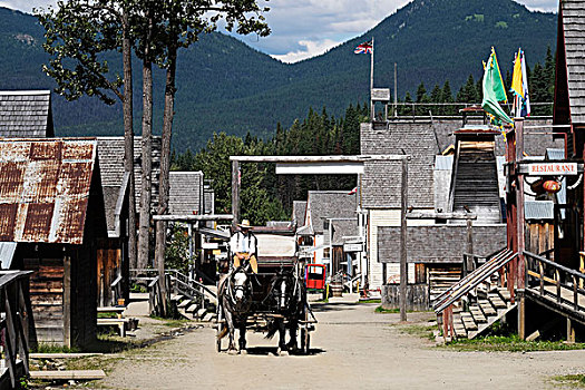 男人,姿势,驾驶,马拉,四轮马车,历史,城镇,不列颠哥伦比亚省,加拿大