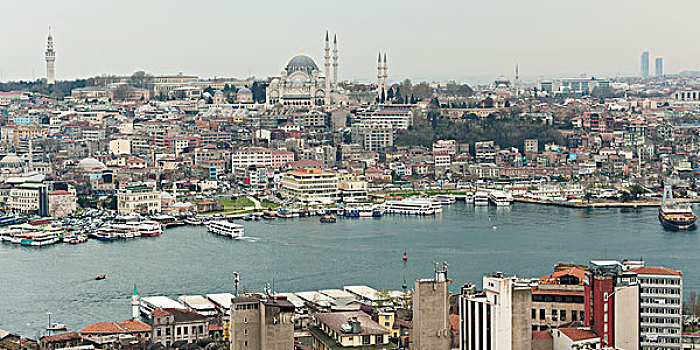 博斯普鲁斯海峡,河,城市,伊斯坦布尔,土耳其