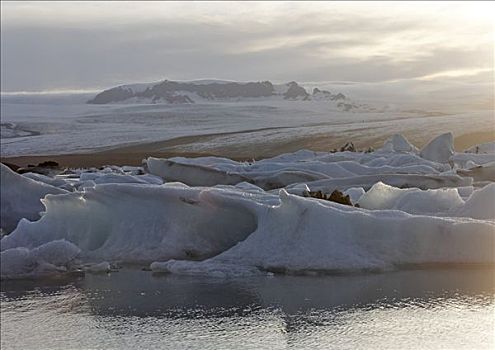 冰山,冰河,背景,结冰,湖,南方,海岸,冰岛,大西洋