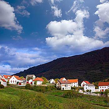 乡村,纳瓦拉,靠近,伊拉蒂,比利牛斯山脉,西班牙