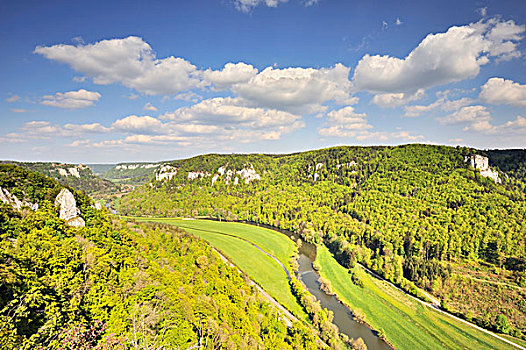 多瑙河,山谷,植被,图特林根,地区,巴登符腾堡,德国,欧洲