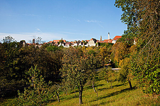 树,树林,区域,建筑,老城,背景,罗腾堡