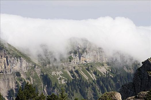 云,移动,上方,山,山峰,伯恩高地,瑞士