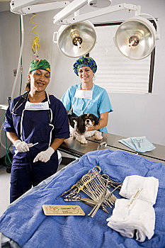 兽医,协助,狗,桌上,手术室