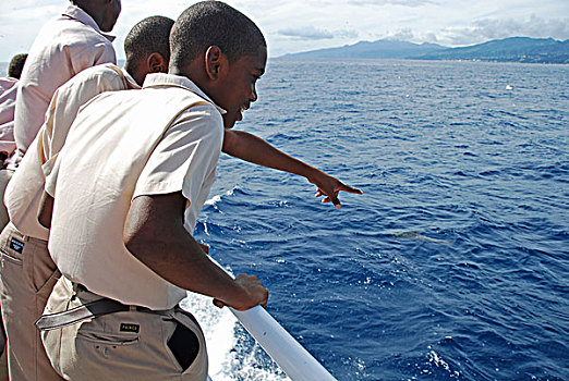 dominica,roseau,schoolchildren,looking,for,dolphins,and,whales,on,the,boat,during,unicef,-,environmental,network,whalewatching,progra