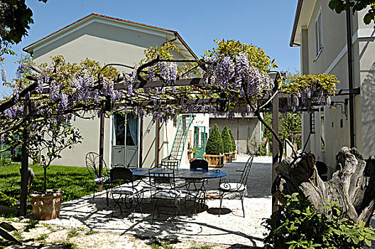 花,紫藤,棚架,高处,金属,庭院家具,平台