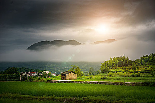 田园乡村自然风光