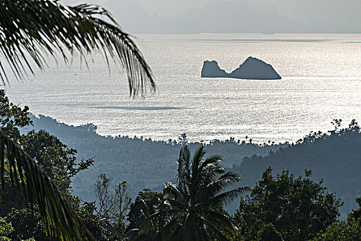 风景,海洋,早晨,苏梅岛,苏拉塔尼,省,泰国