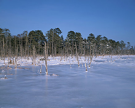 湖,富人