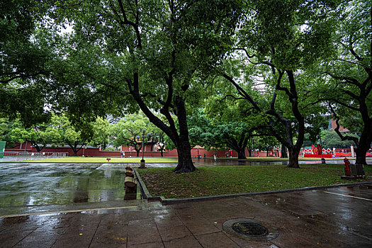 广州春雨中的广州图书馆农讲所红墙绿树大广场