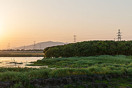夕阳下的沼泽远山高压电塔