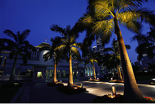 国会大厦,棕榈树,新加坡