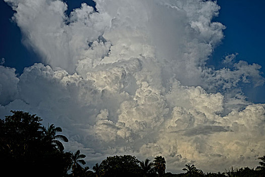 云,下雨,季节,地区,伯利兹,中美洲