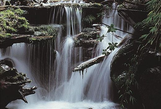 河,瀑布,国家公园,巴塔哥尼亚,阿根廷,南美
