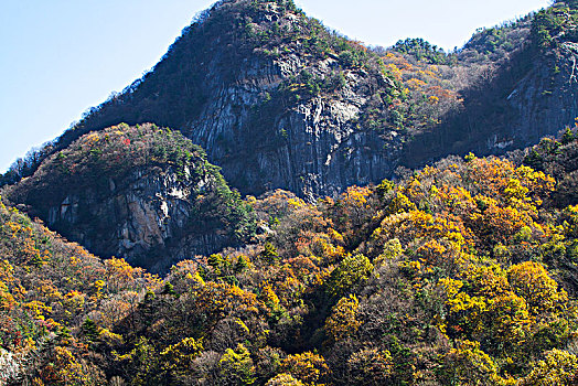 秦岭秋色