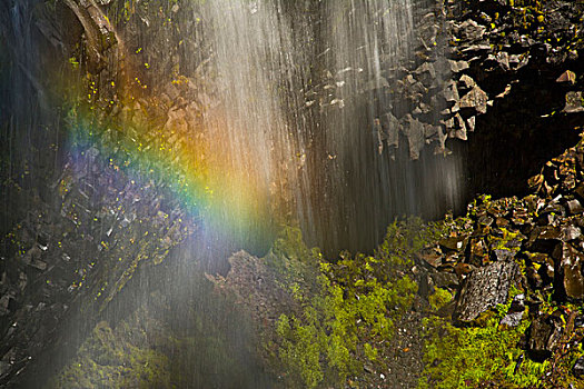 彩虹,雷尼尔山国家公园,华盛顿,美国