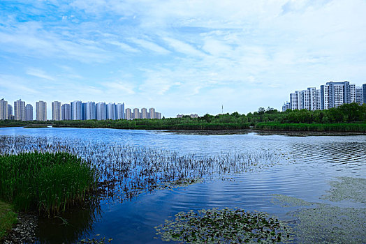 海阳风光