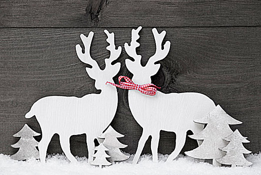 灰色,圣诞装饰,驯鹿,情侣,相爱,雪,树