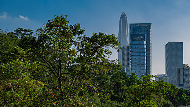 远眺深圳建筑