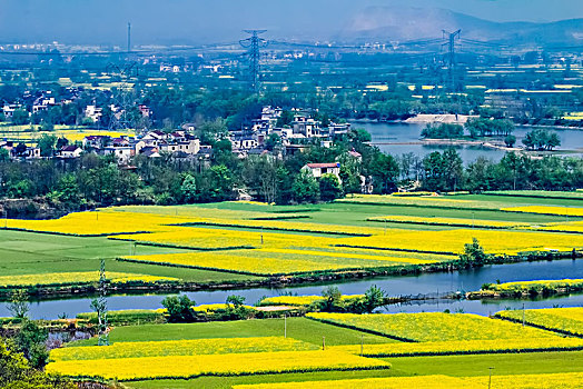 安徽省芜湖市响水涧油菜花田园乡村自然景观