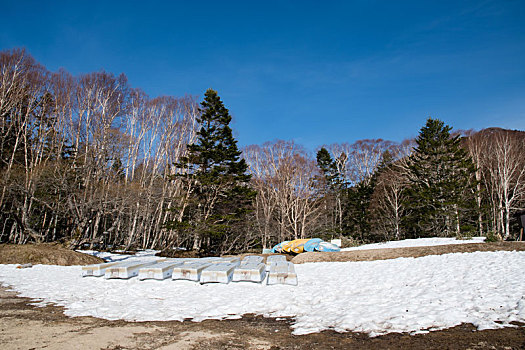 菅沼,野营村,群马县