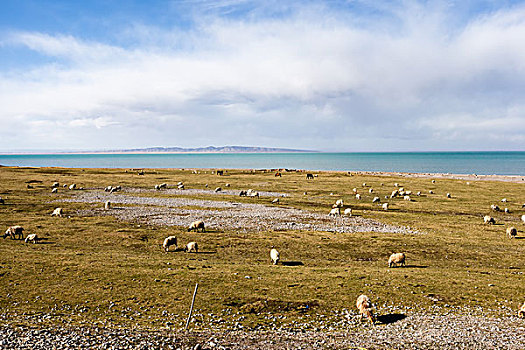 大美青海湖