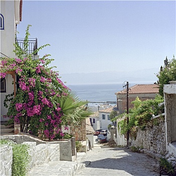 街道,风景,希腊,背影,七月,1998年,扫瞄