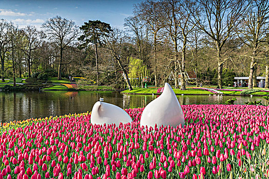 雕塑,粉色,郁金香,库肯霍夫花园,荷兰南部,省,荷兰
