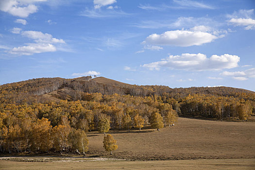草地,内蒙古