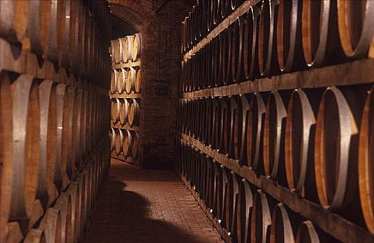 酒窖,不动产,蒙蒂普尔查诺红葡萄酒,托斯卡纳
