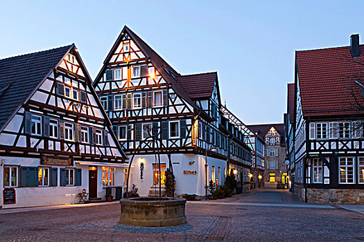 酒店,餐馆,市场,基希海姆,巴登符腾堡,德国,欧洲