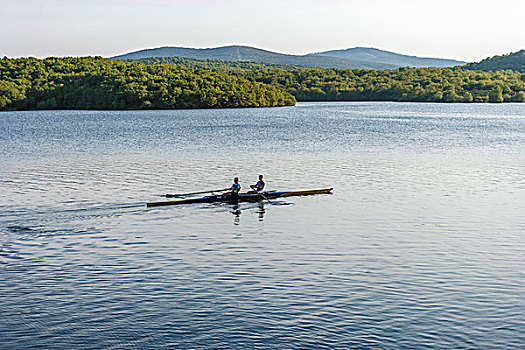 桨手,训练,湖