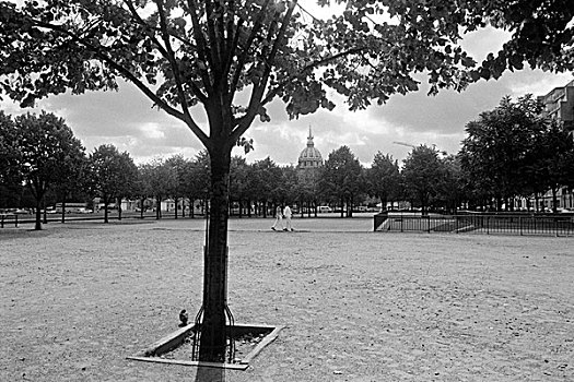 树,围绕,空旷,公园,巴黎,法国