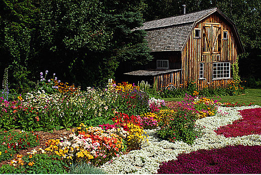 花园,谷仓,悬崖,加拿大