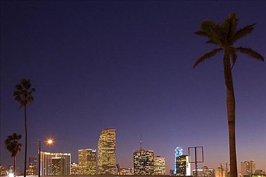 仰视,建筑,城市,光亮,黄昏,迈阿密,佛罗里达,美国